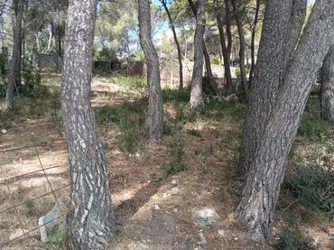 Rustikales Grundstück zum Verkauf in Avinguda de La Torre del Veguer 14