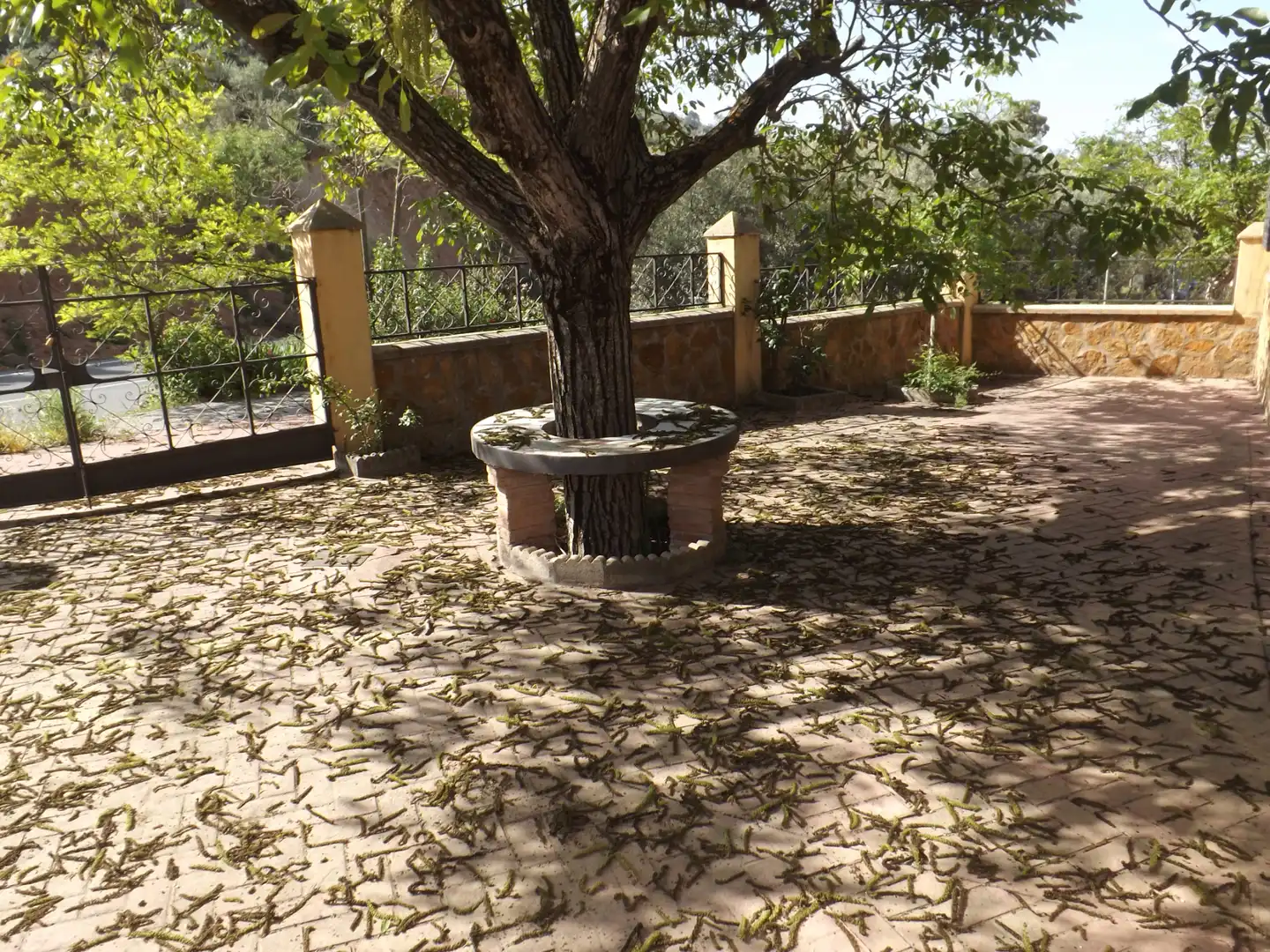 Casa o xalet en venda a Calle Eras Bajas, 18, Güevéjar