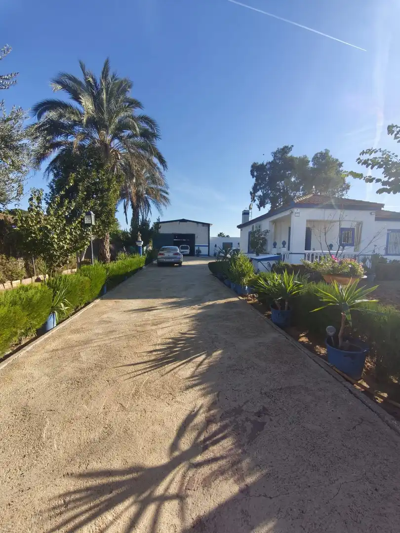 Vista exterior de Terreno en venta en Carmona, Sevilla