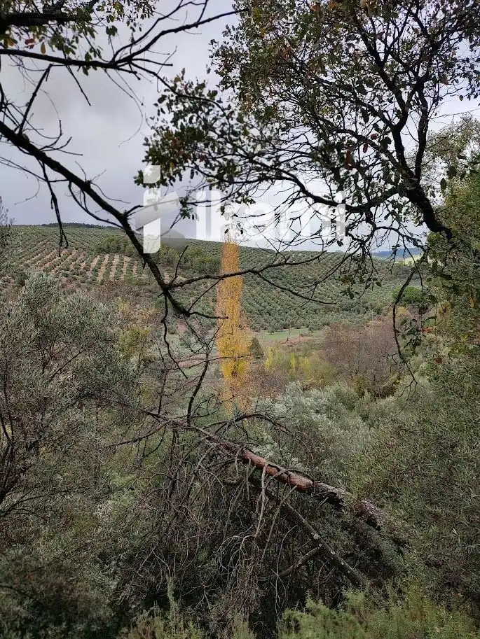 Residential for sale in Beas de Segura