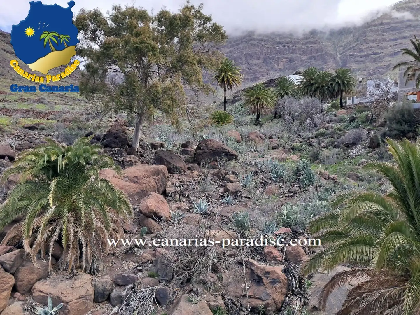 Garten von Einfamilien-Reihenhaus zum Verkauf in La Aldea de San Nicolás  mit Klimaanlage