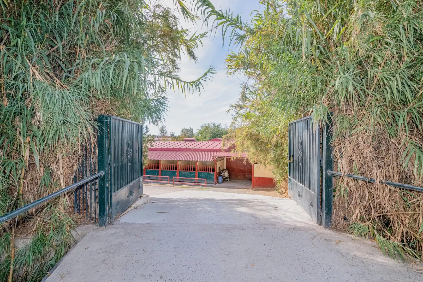 Vista exterior de Finca rústica en venta en La Zubia