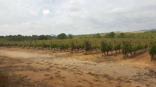 Terreno en Venta en Avinguda de l'İnfant Pere, 16 en Falset