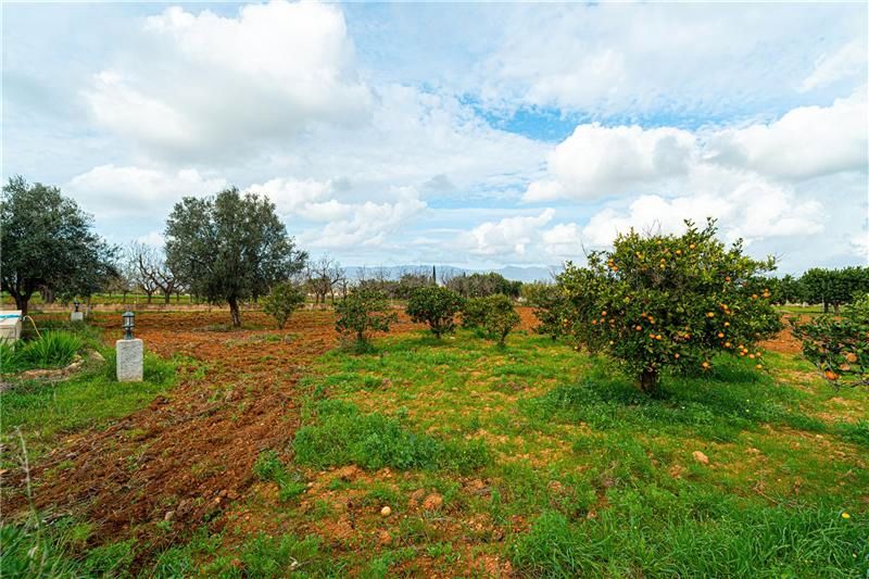 Country house for sale in Santa Eugènia  with Private garden and Terrace