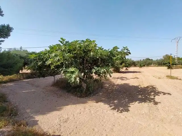 Casa o chalet en venta en Elche / Elx con Aire acondicionado y Amueblado