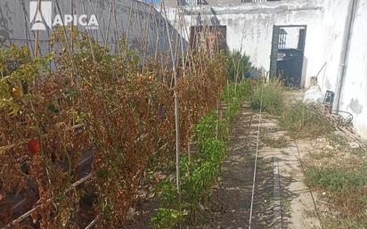 Terreny en venda en Chiclana de la Frontera