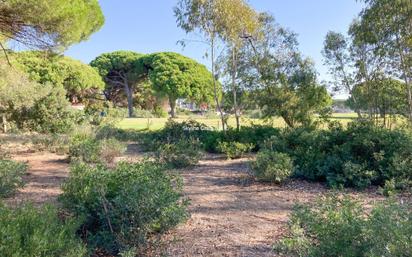 Garden of Residential for sale in Chiclana de la Frontera