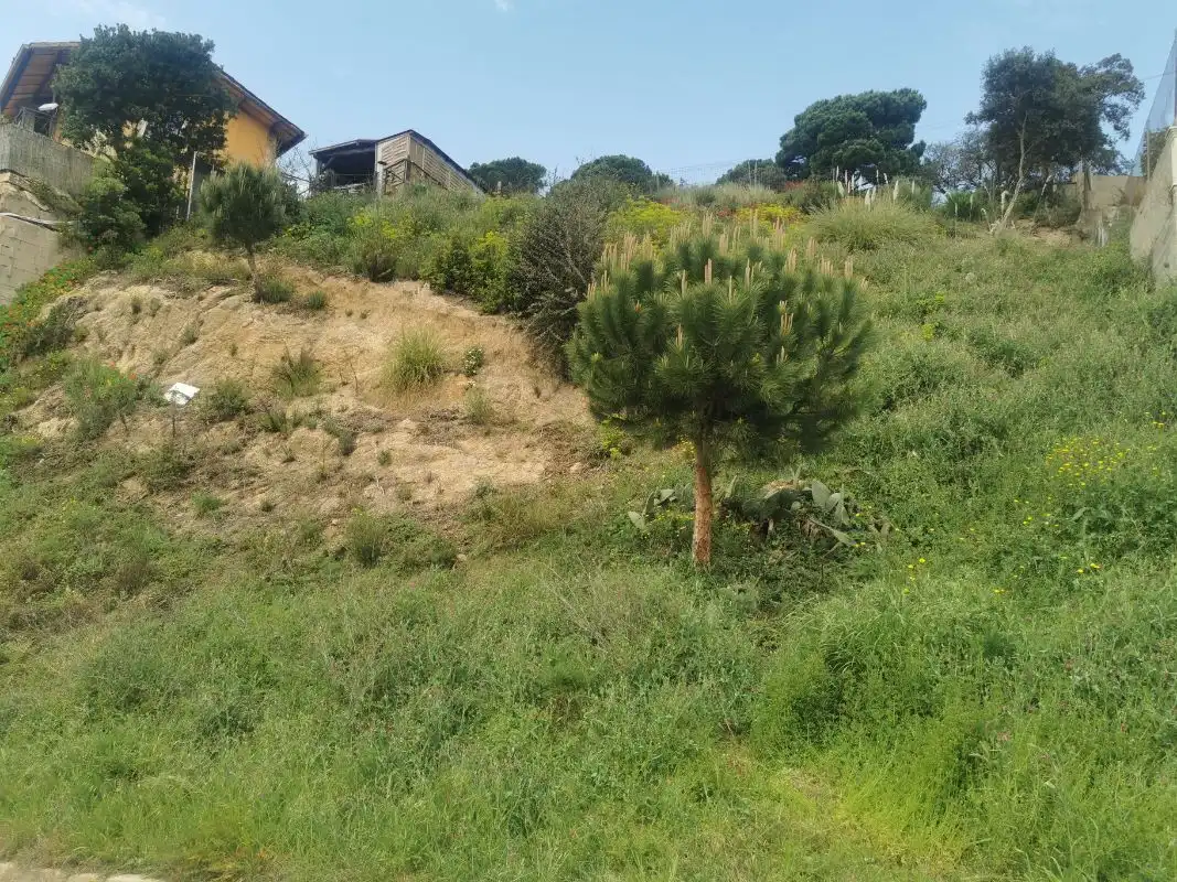 Terrenos y solares en venta en Lloret Residencial - Montlloret, imagen 2