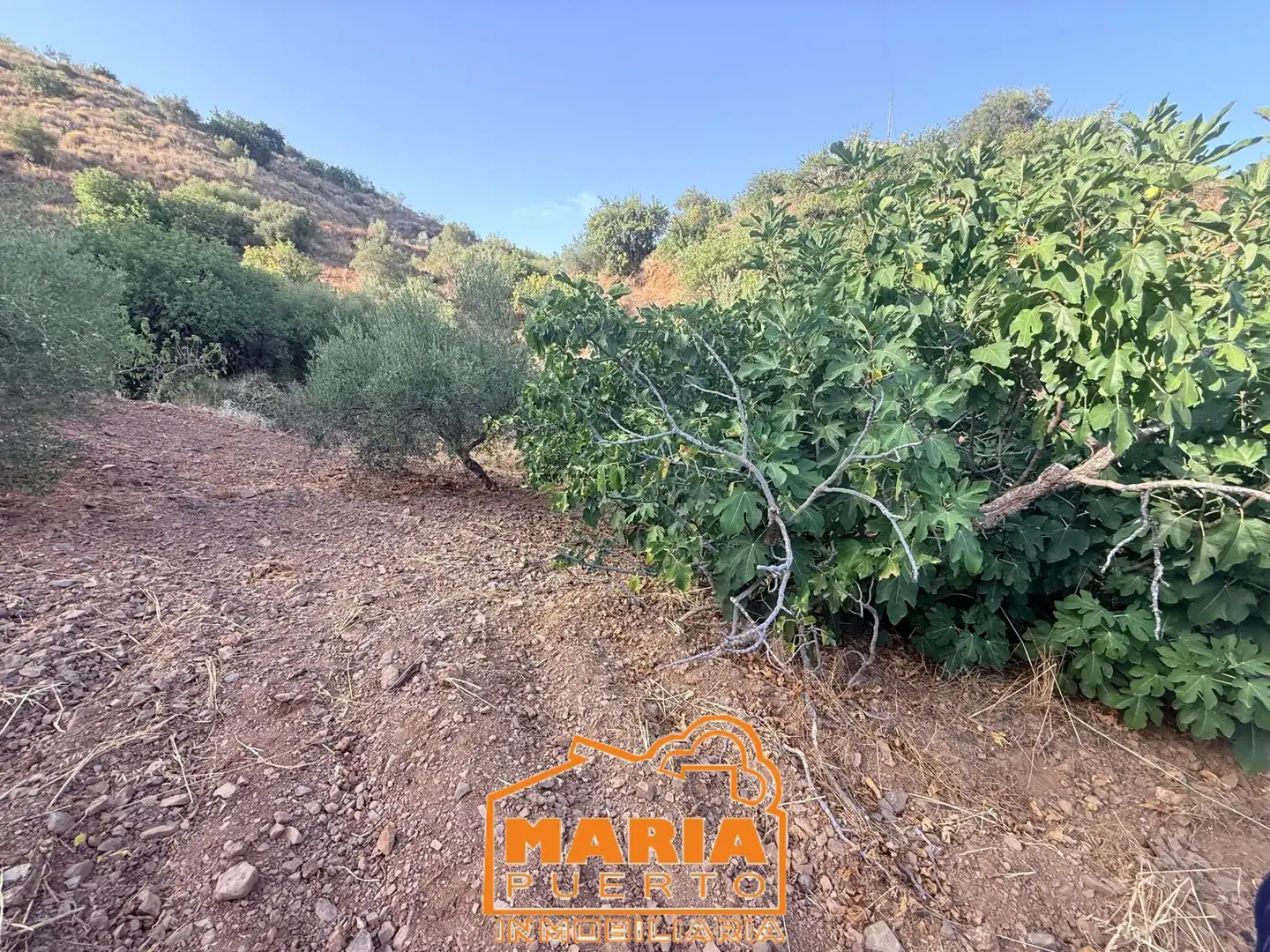 Terreno rustico in vendita a Almogía, imagen 4