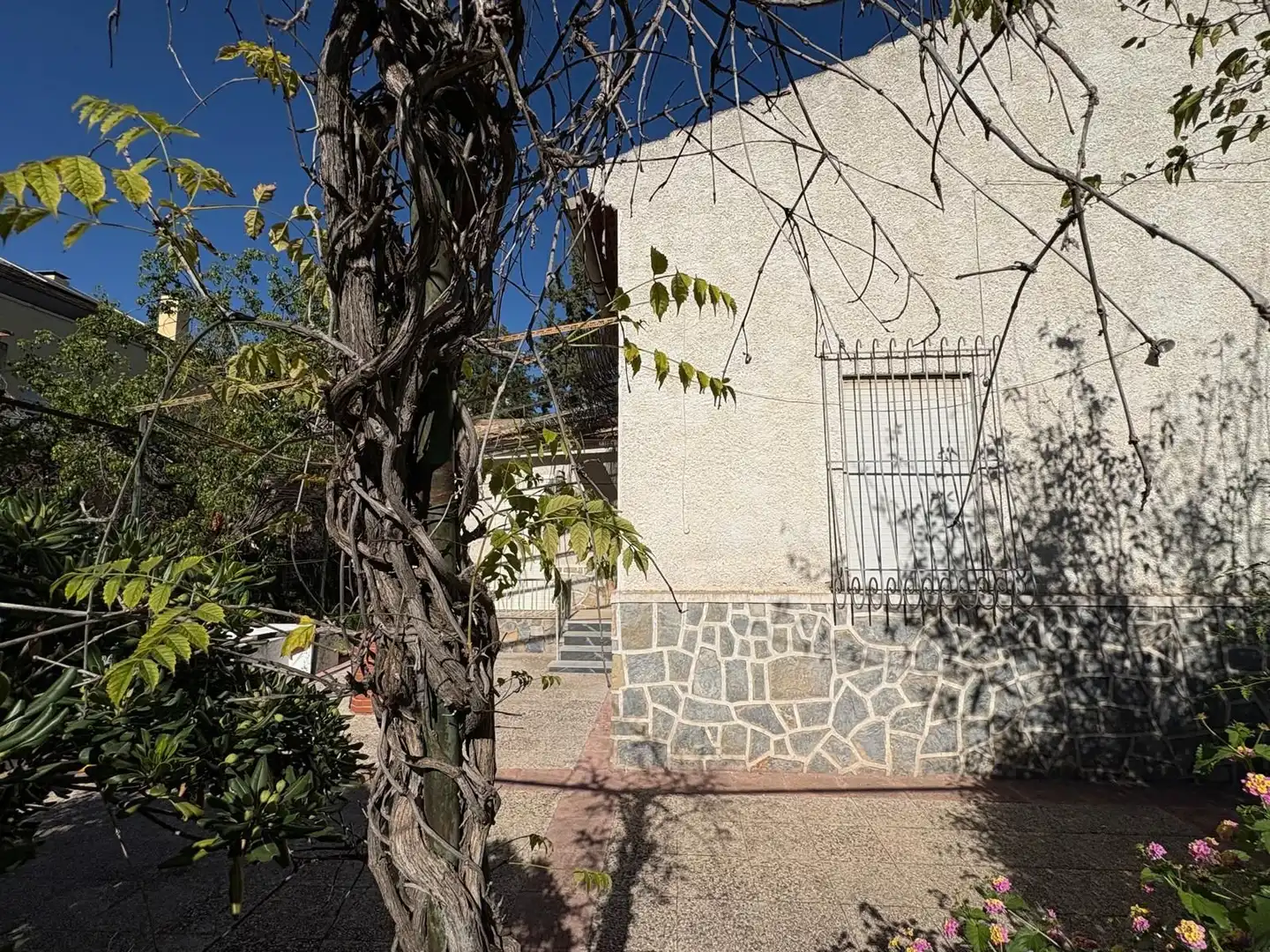 Exterior view of Houses for sale in Murcia  with Private garden and Swimming Pool