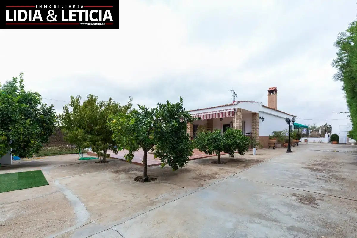 Vista exterior de Casa o chalet en venta en Alcalá de Guadaira con Aire acondicionado, Calefacción y Jardín privado
