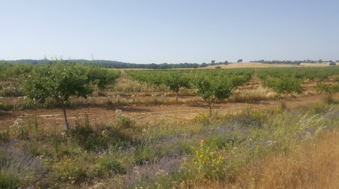 Foto 2 de Terreny en venda a Chinchilla de Monte-Aragón, Albacete