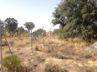 Terreno residenziale in vendita a Ituero y Lama
