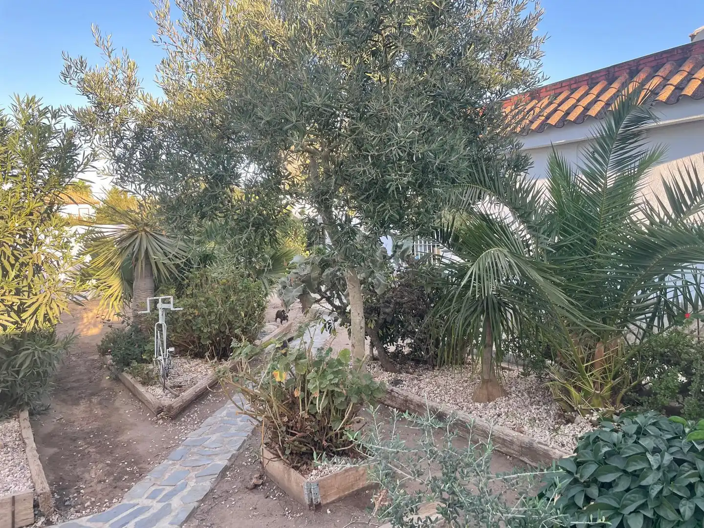 Jardín de Casa o chalet en venta en Sanlúcar de Barrameda con Jardín privado, Piscina y Internet