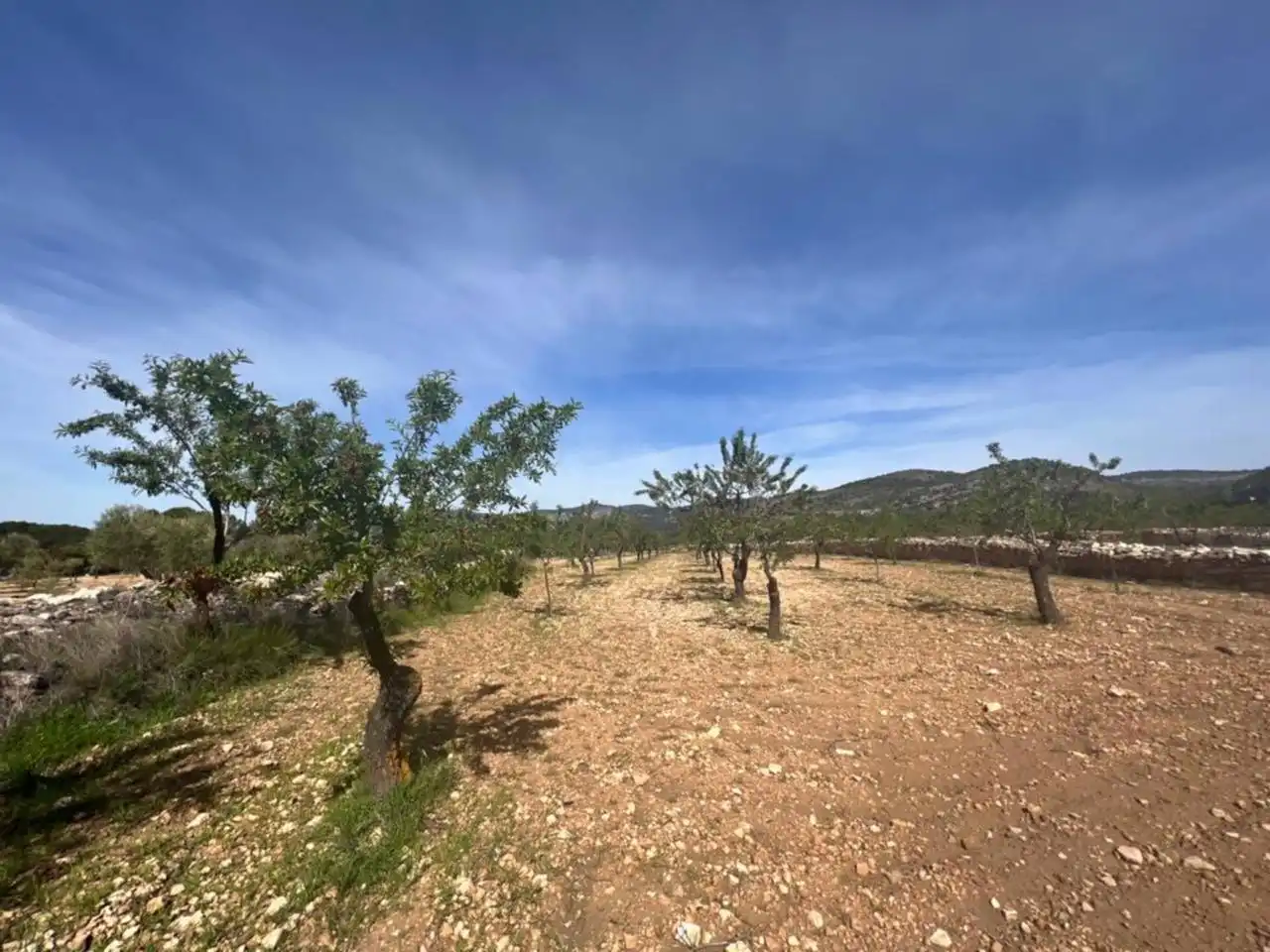 Chalet con jardín en venta en Calle Poligono, imagen 104
