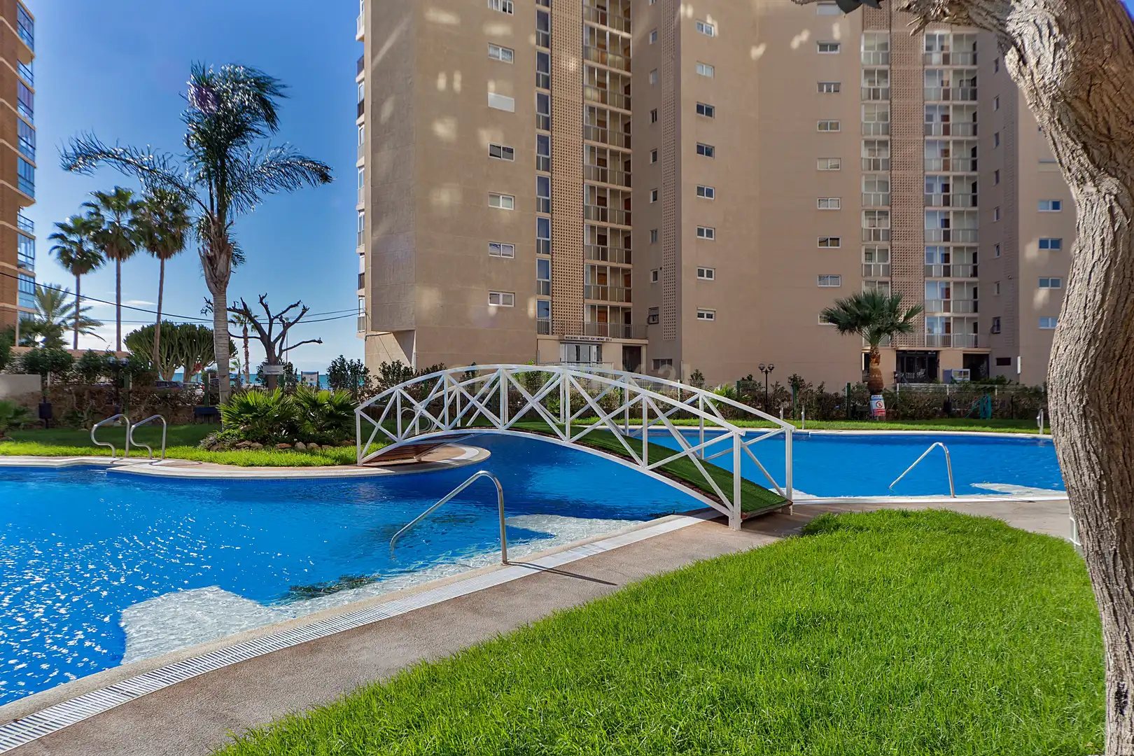 Swimming pool of Apartments for sale in Calpe / Calp  with Air Conditioner, Storage room and Oven