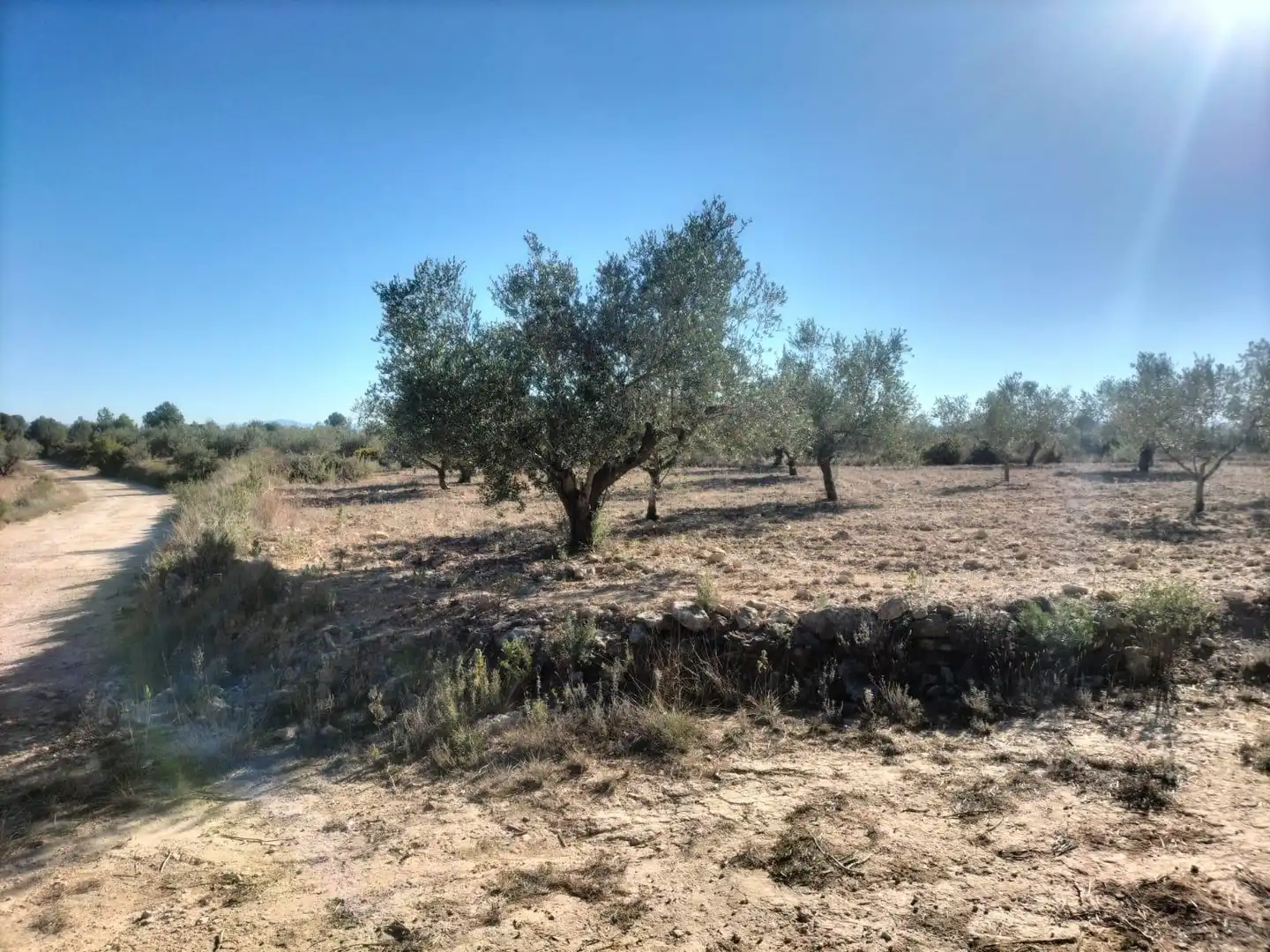 Terreno rustico in vendita a Polígono 7 Parcela 82 LOMA FERRER. NAVARRES (VALE 7, imagen 9
