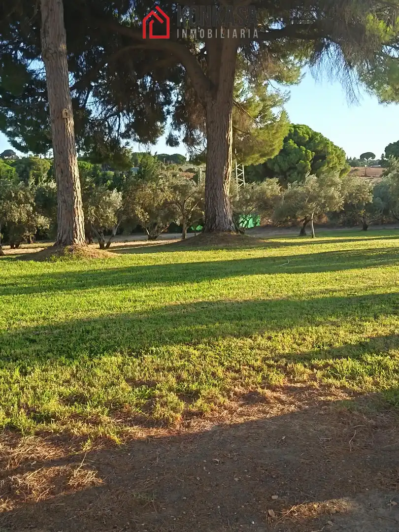 Casa rústica amb piscina en venda a Arcos de la Frontera, imagen 28