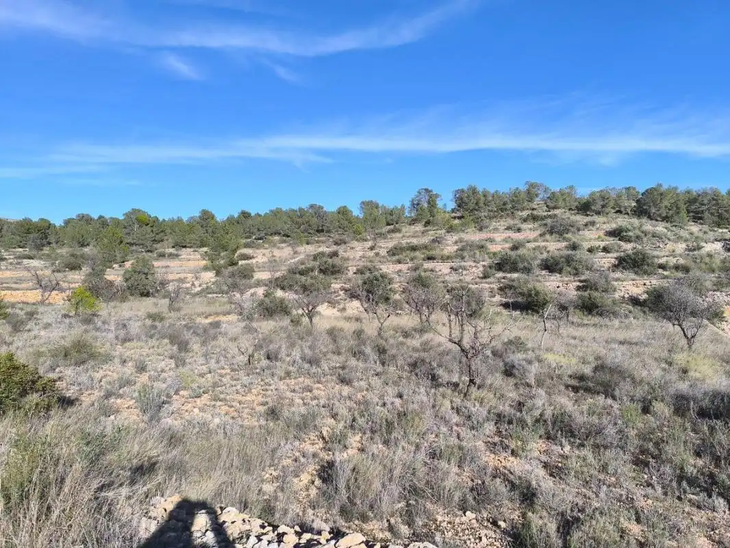 Rural land for sale in C-3320, imagen 11