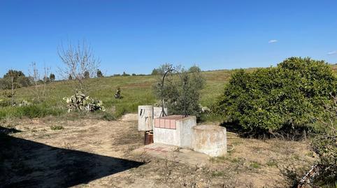 Foto 3 de Finca rústica en venda a Bollullos Par del Condado, Huelva