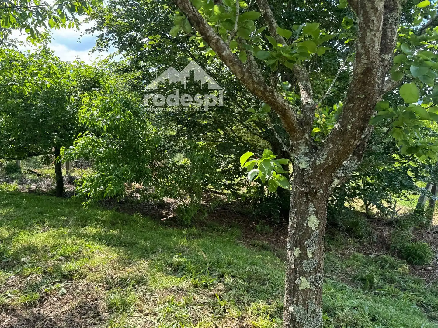 House for sale in A Cañiza, imagen 33