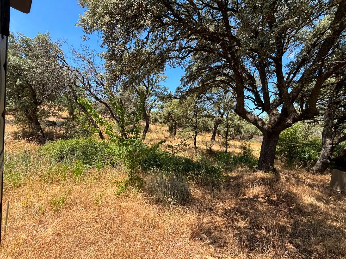 Residential land for sale in Paseo del Perú, imagen 10