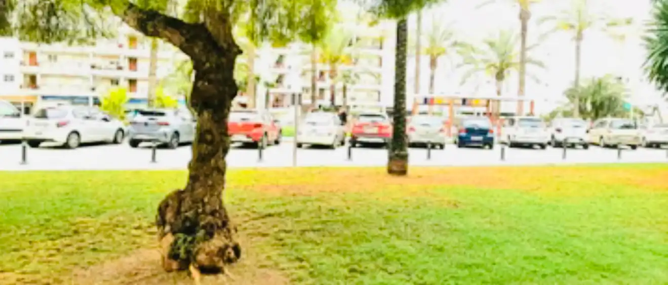 Parking de Apartamento en venta en Altea con Aire acondicionado, Calefacción y Amueblado