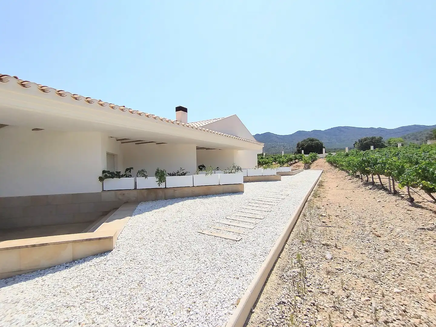 Vista exterior de Finca rústica en venda en Yecla amb Aire condicionat i Terrassa