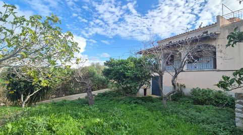 Foto 5 de Finca rústica en venta en Polígono 4 Paraje 41 Sa Taulera, Alaró, Illes Balears
