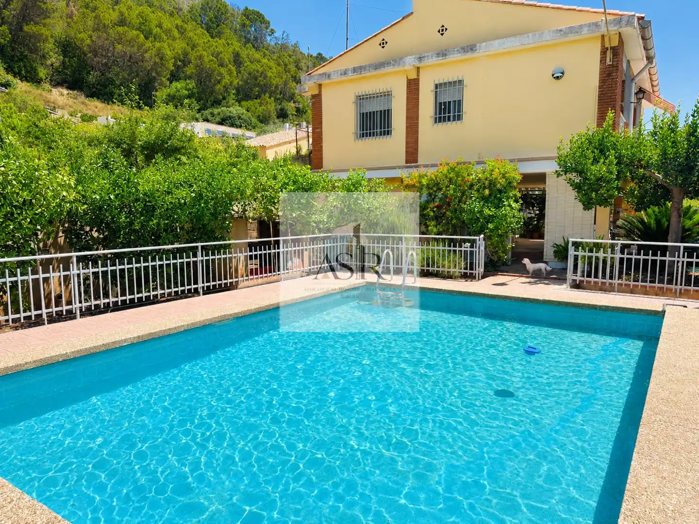 House with pool for sale in Urbanitzacions i Pedanies Sud