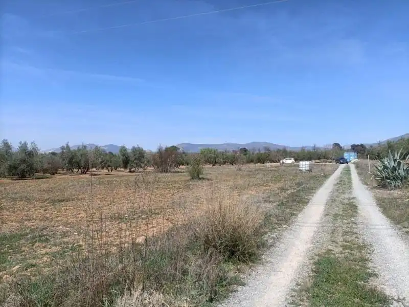 Terrenys i solars en venda a Polígono LA ZANJA, imagen 7