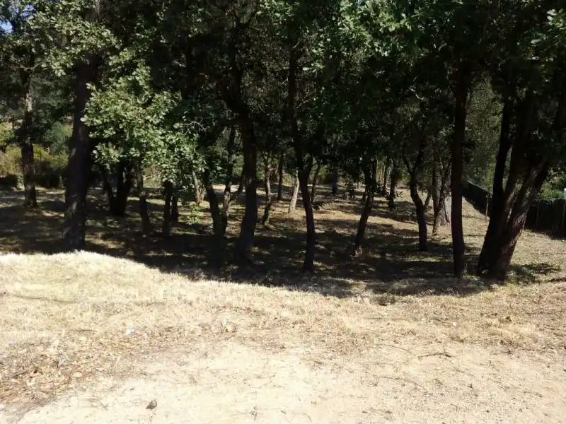 Wohnbaugrundstück zum Verkauf in Terrabrava - Tordera Parc, imagen 3