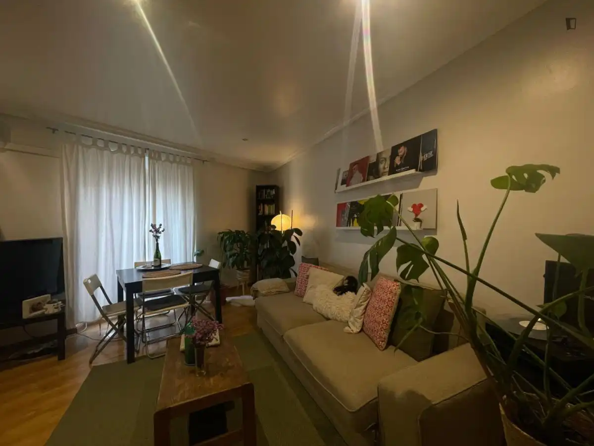 Estudio en alquiler en Centro, imagen 8