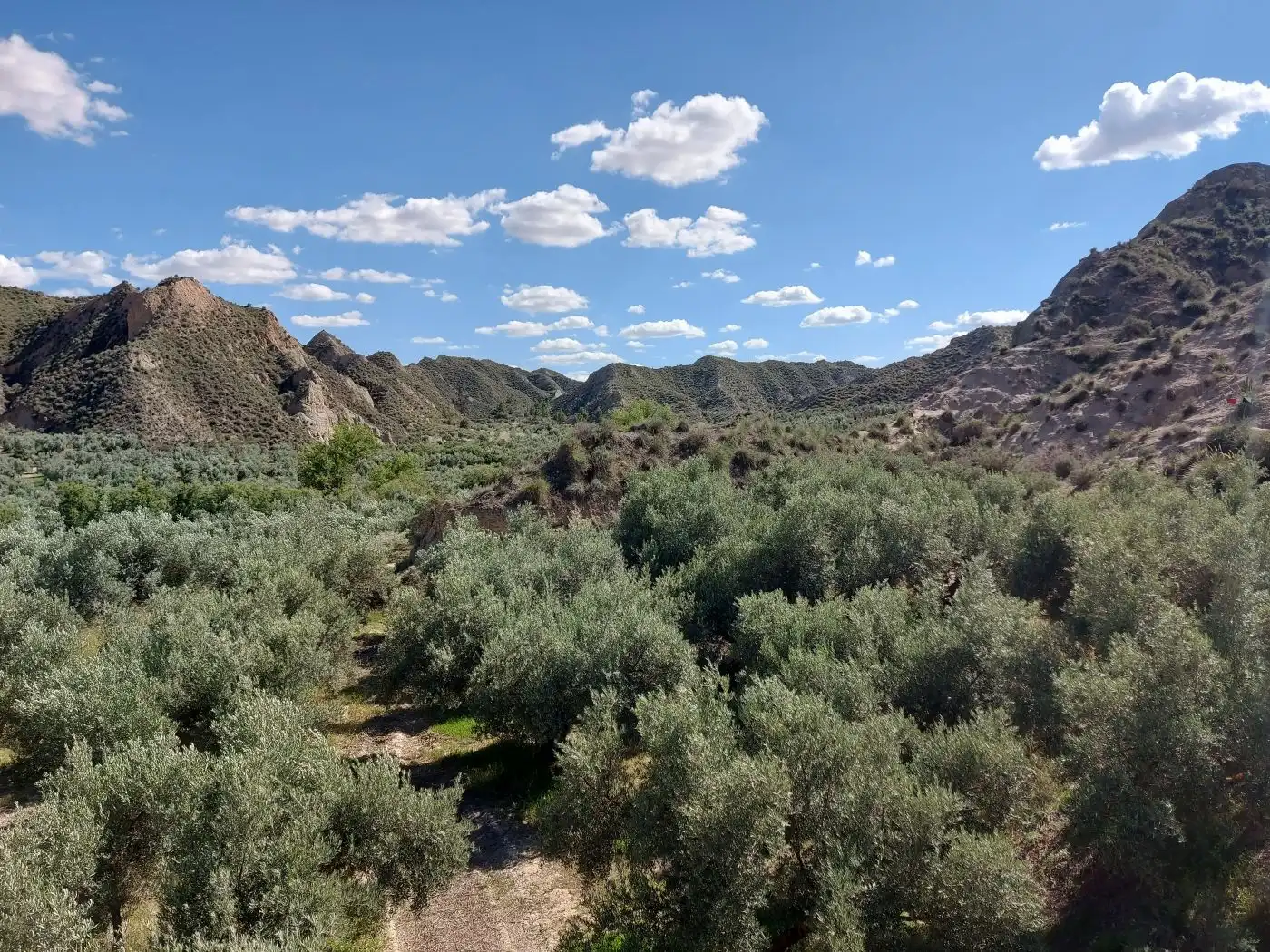 Casa rústica en venda a Guadix, imagen 7