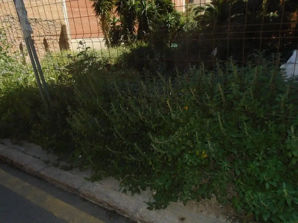 Grundstücke zum Verkauf in FORNS, Nou Eixample Sud