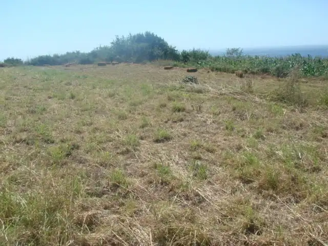 Terrenys i solars en venda a Oia, imagen 2