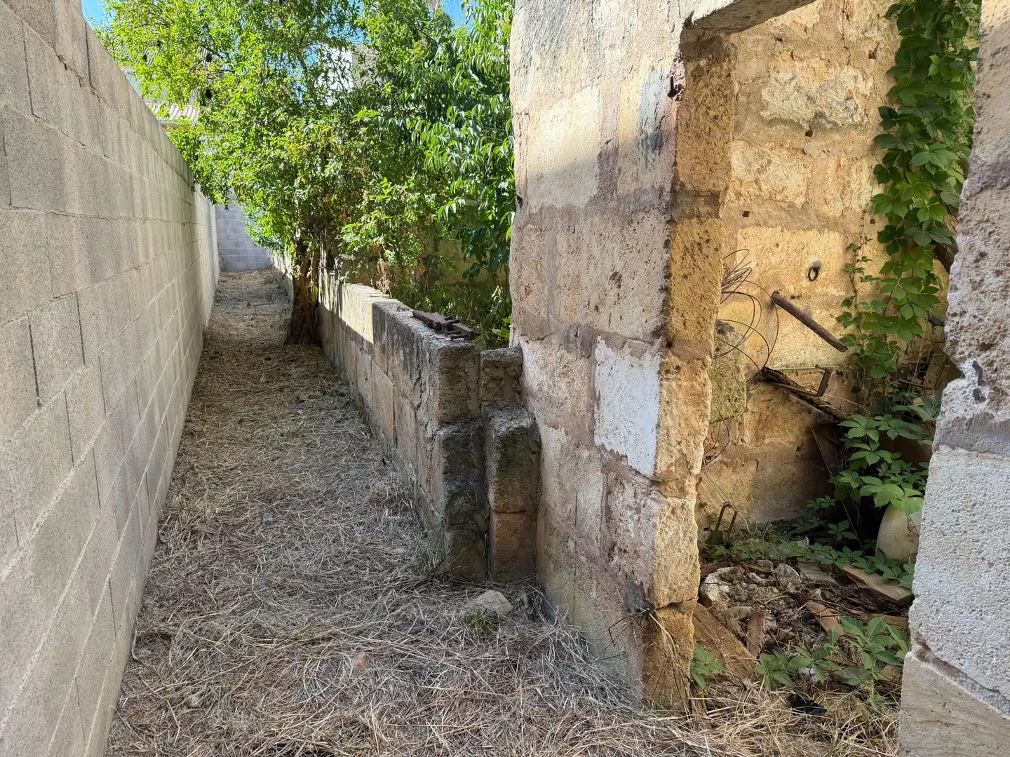 Houses for sale in Sa Pobla