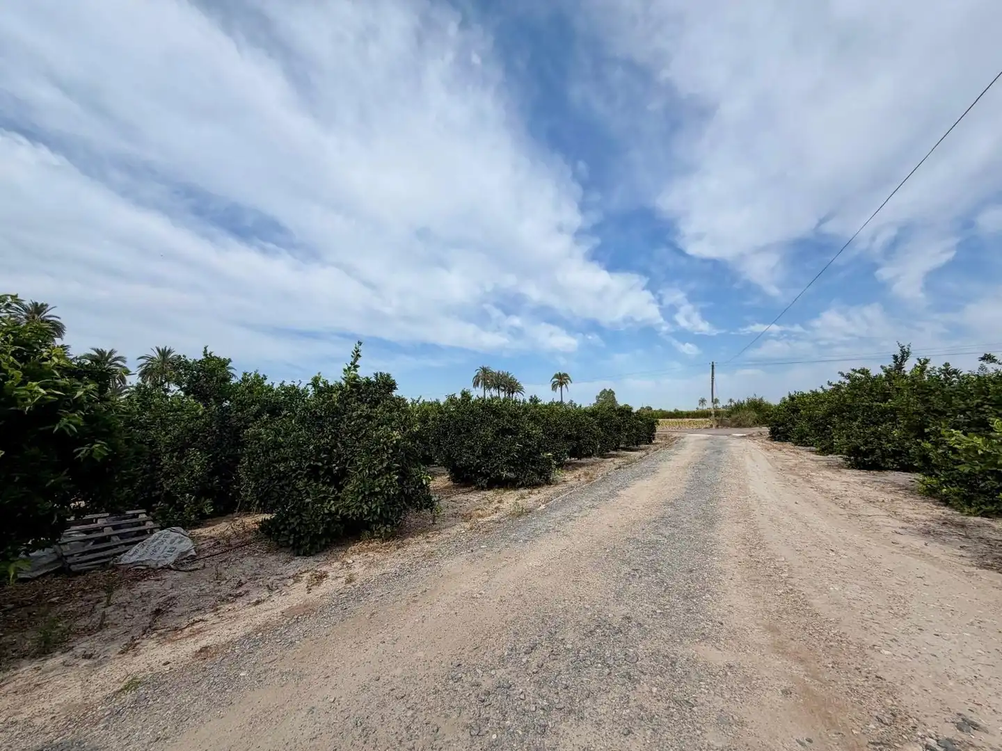 Houses for sale in Elche / Elx