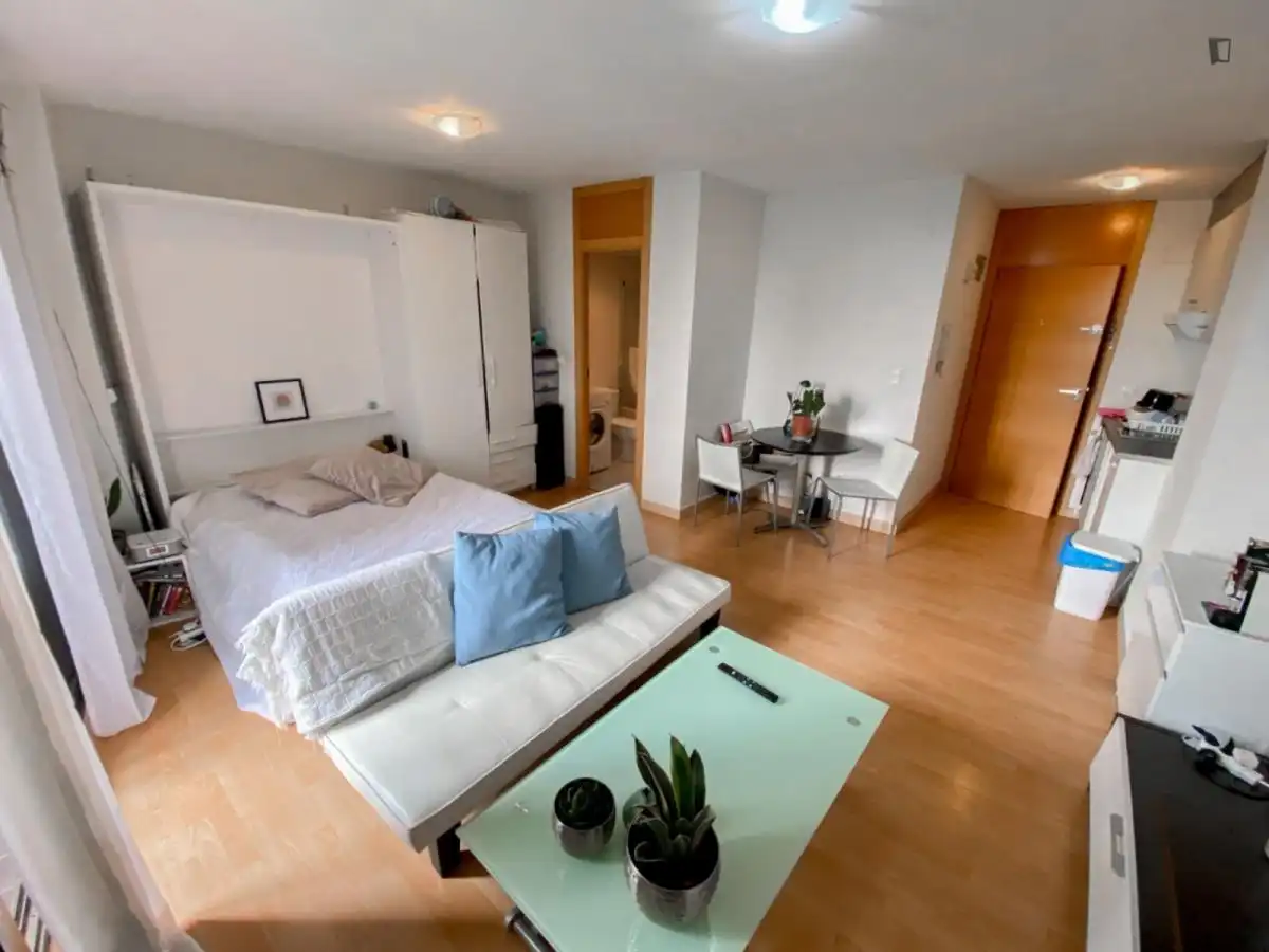 Estudio de alquiler en El Carme