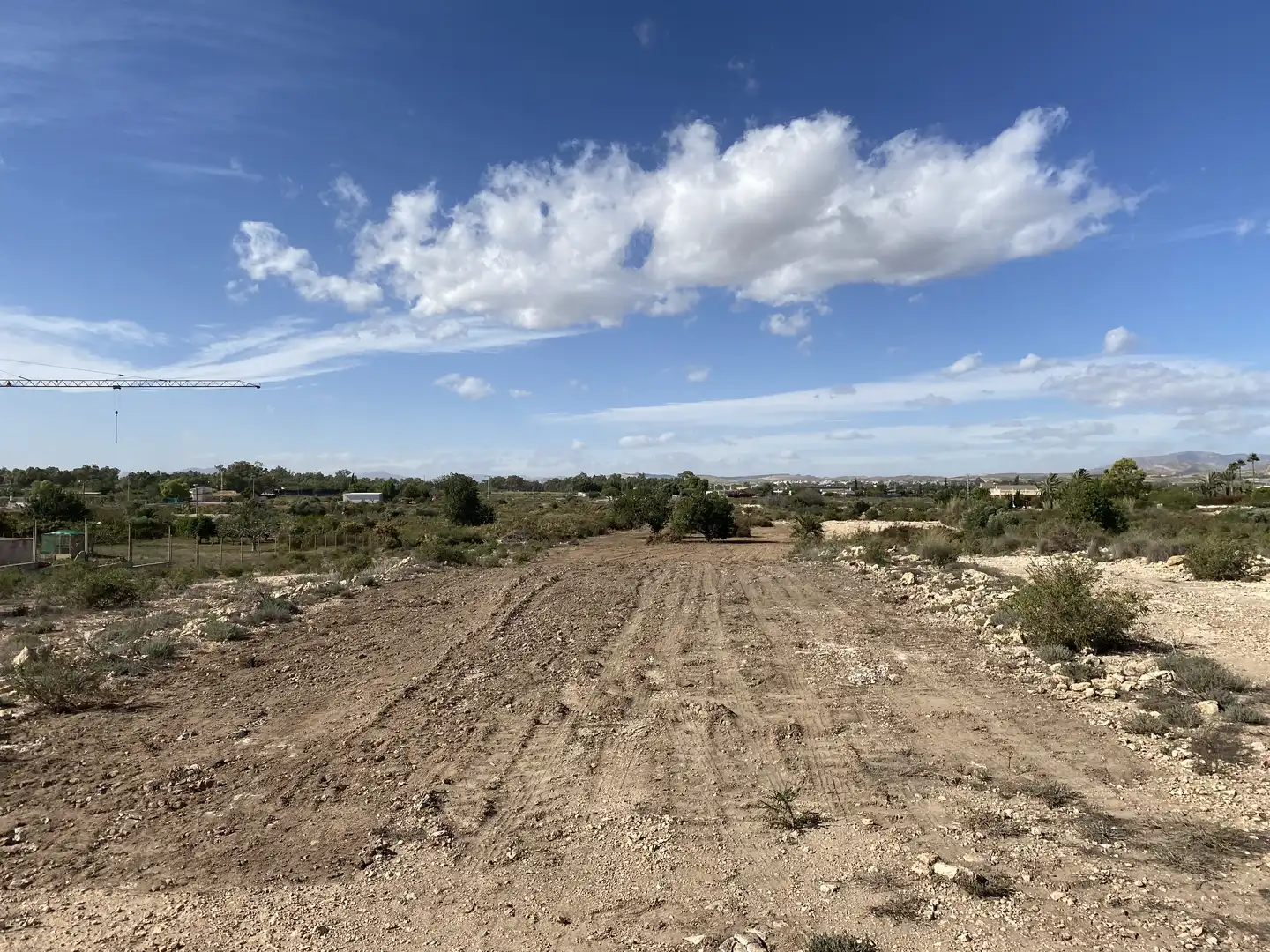 Land for sale in Elche / Elx