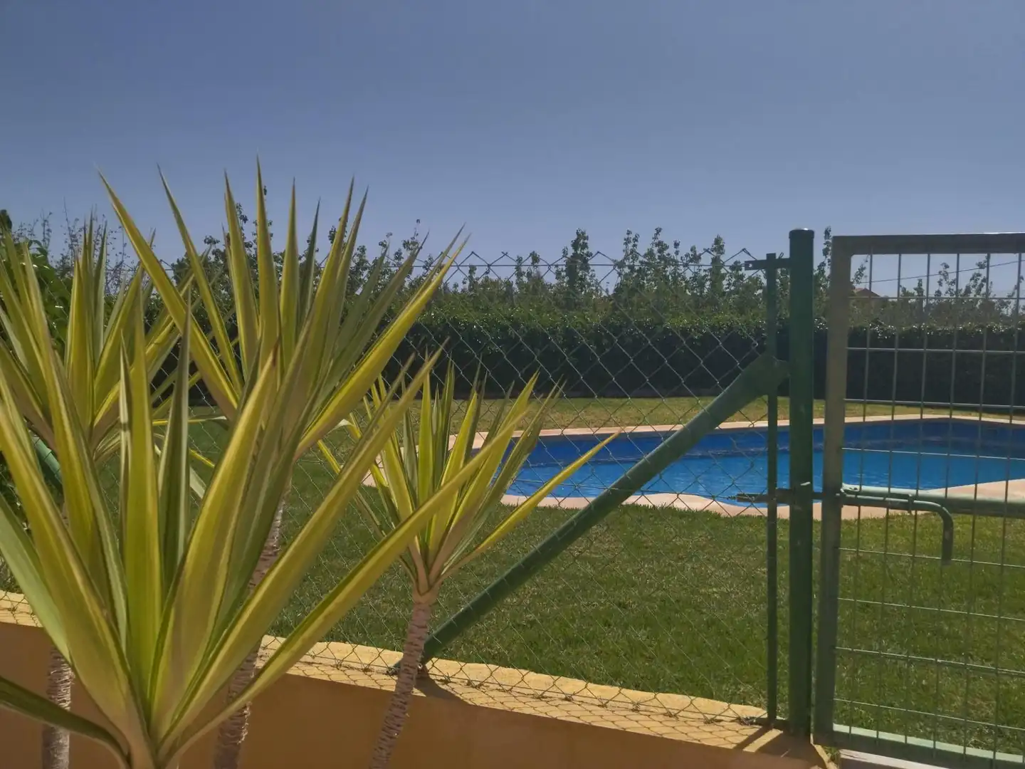 Piscina de Finca rústica en venta en Moratalla con Aire acondicionado, Calefacción y Jardín privado