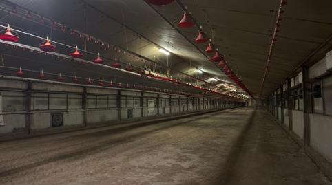 Photo 2 of Industrial buildings for sale in Lugar Lugar San Pedro, Xinzo de Limia, Ourense