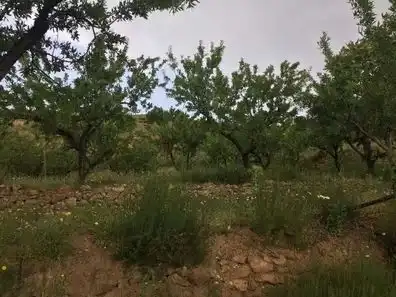 Rustikales Grundstück zum Verkauf in Ohanes, imagen 3