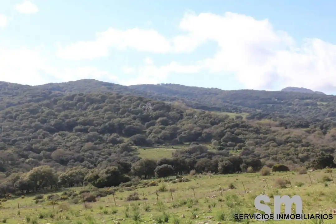 Terreni e lotti in vendita a Cortes de la Frontera, imagen 21