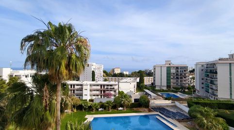 Photo 3 of Apartments for rent in Solymar, Benalmádena