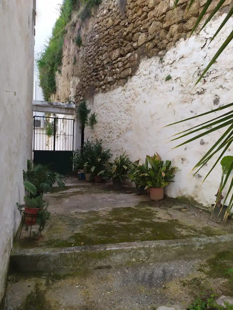 Jardí de Finca rústica en venda en Casarabonela amb Terrassa, Rentadora i Balcó