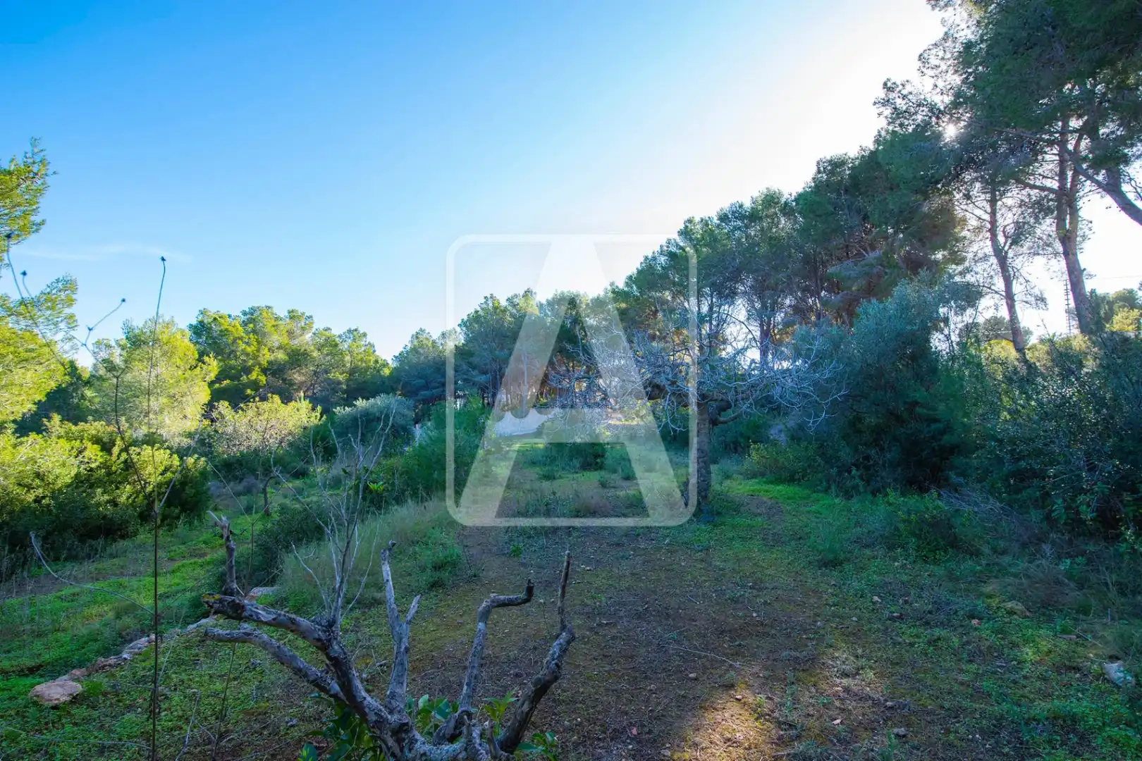 Villa avec piscine à vendre à Cala Advocat - Baladrar, imagen 11