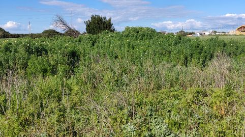 Foto 5 de Terreno en venta en Calle, Barrio Nuevo, Conil de la Frontera