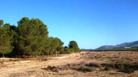 Foto 2 de Finca rústica en venta en Aledo, Murcia