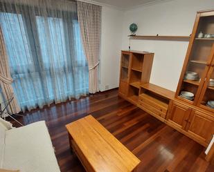 Sala d'estar de Apartament de lloguer en Pontevedra Capital  amb Calefacció, Parquet i Traster